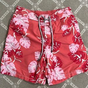 Vilebrequin Swim Trunks size Large *runs small-*